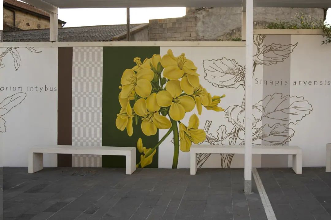 Mauro Patta @ Ussaramanna, Italy