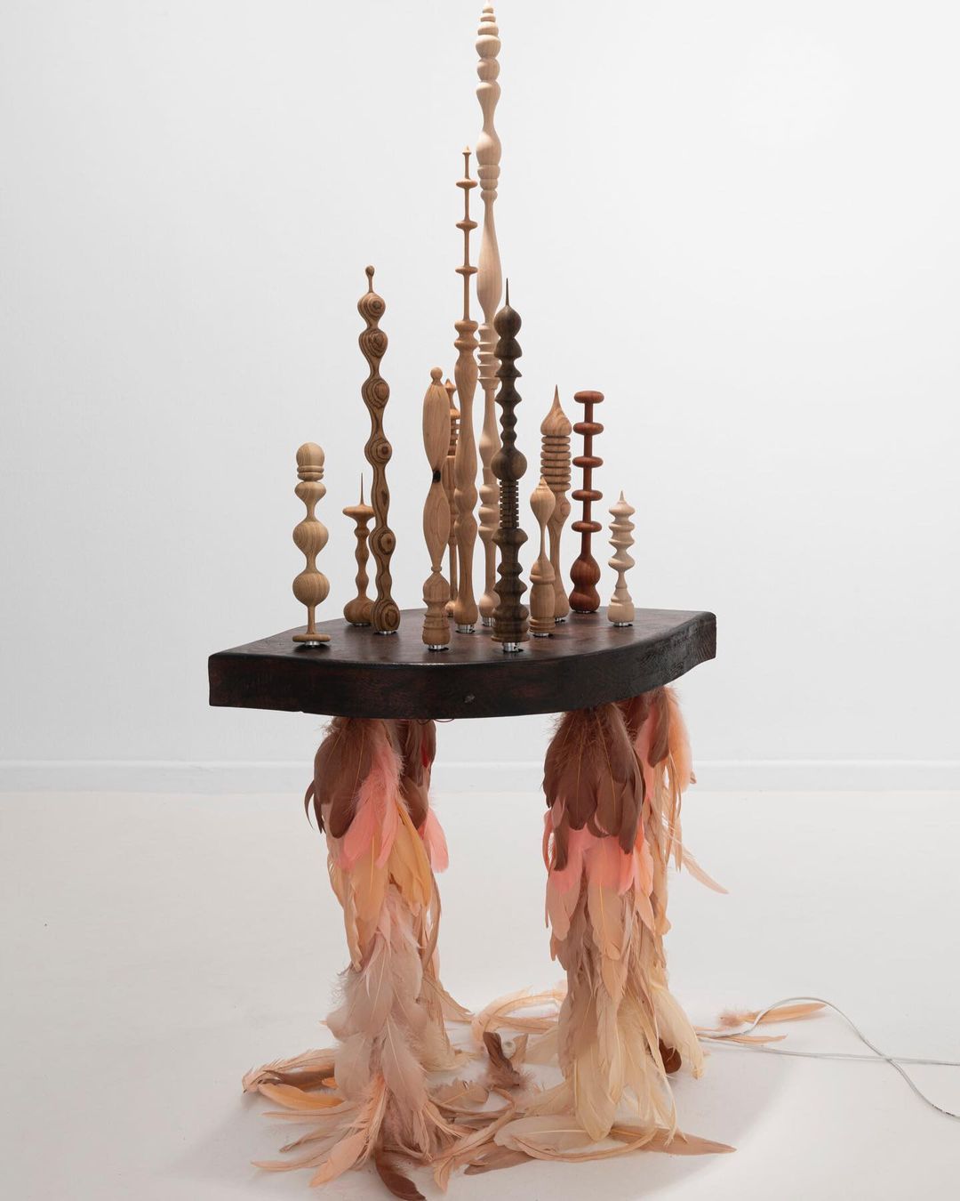 "Cardados" by Mónica Mays