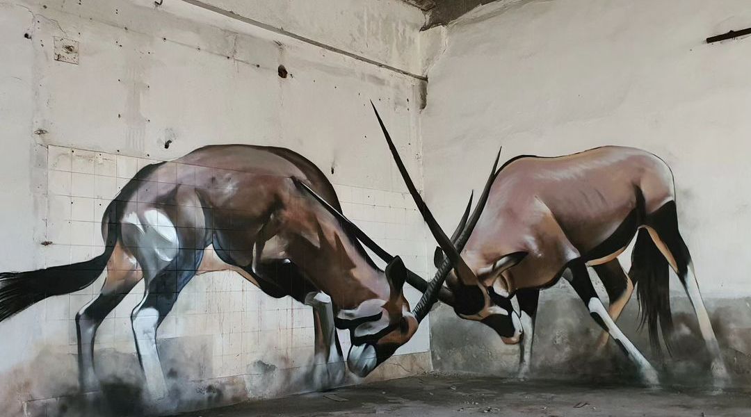 Odeith @ Portugal