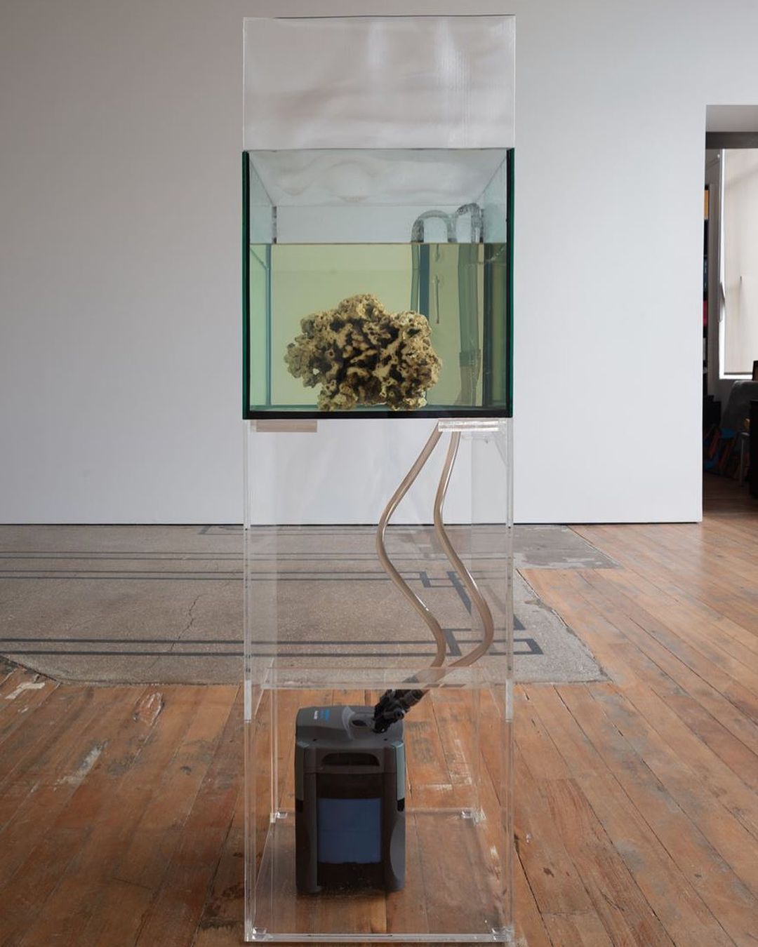 "Stop Shell" by Richard Frater