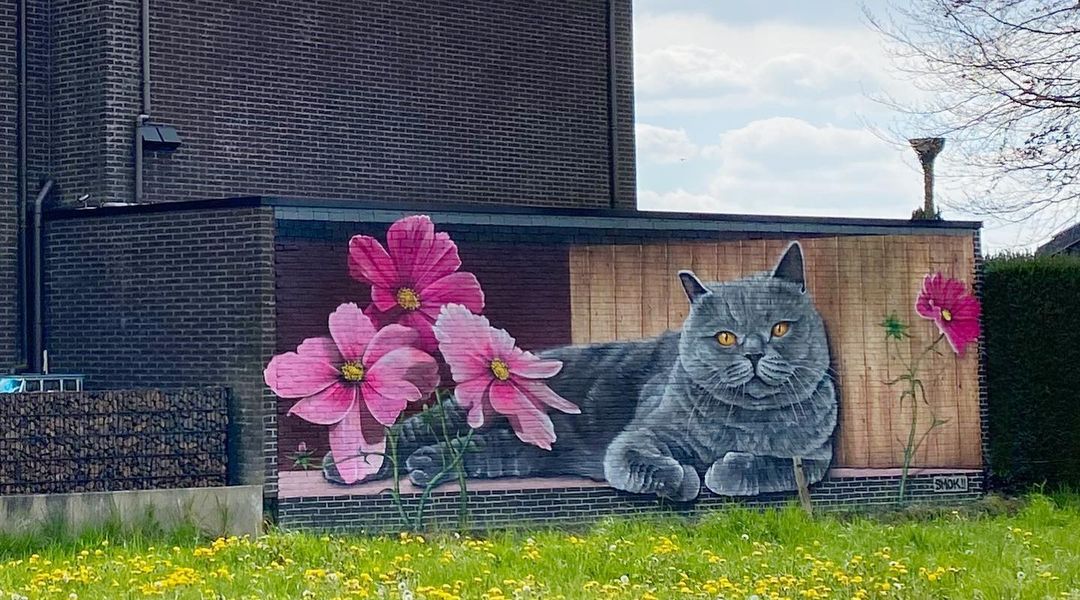 Smok @ Pulderbos, Belgium