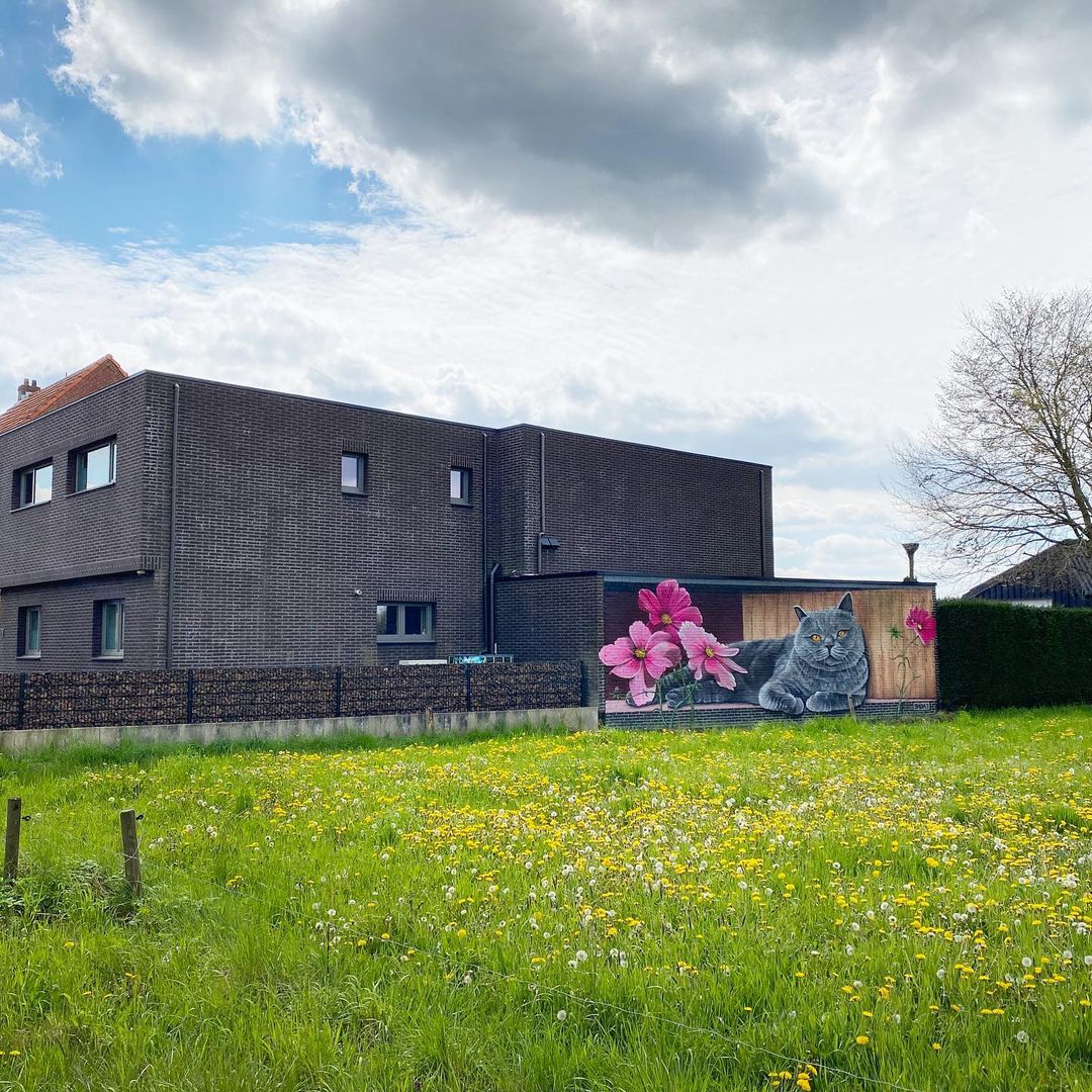 Smok @ Pulderbos, Belgium