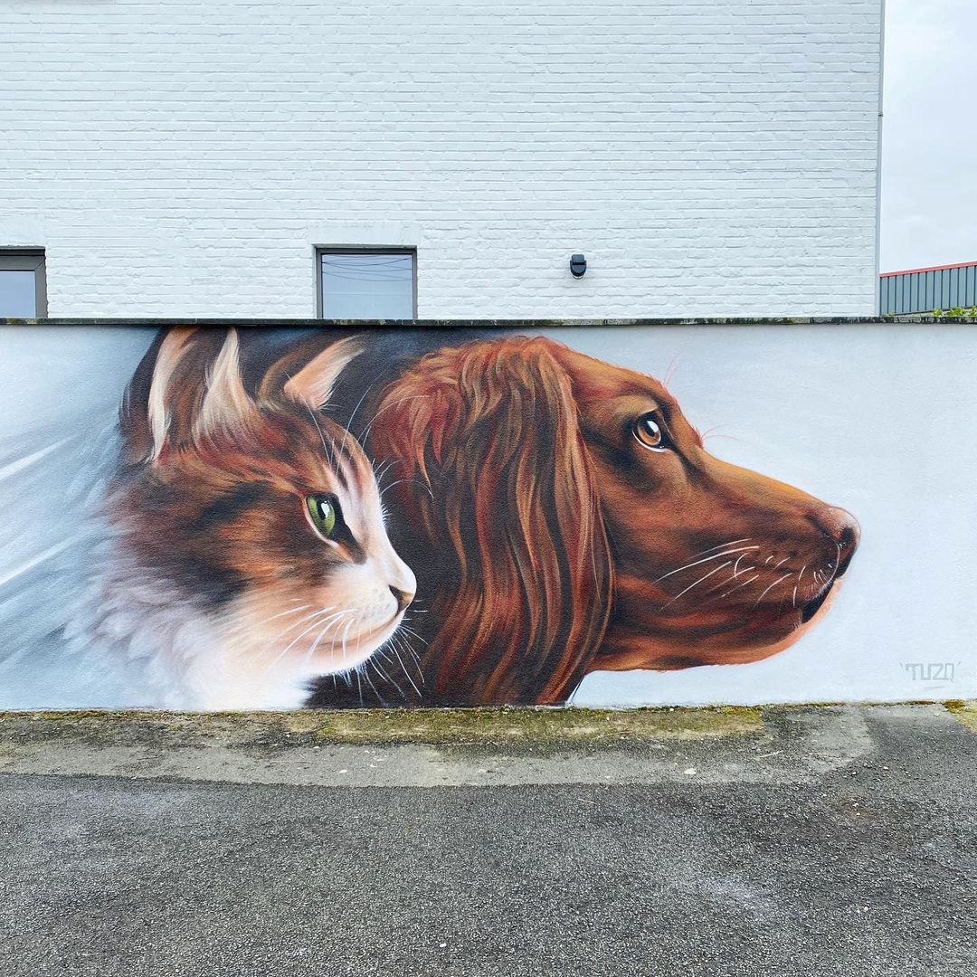 TUZQ @ Scherpenheuvel-Zichem, Belgium