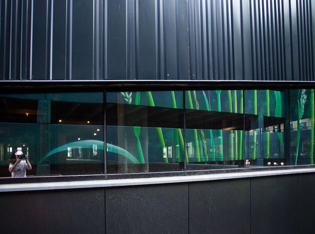 Adele Renault @ Columbus, Ohio, USA