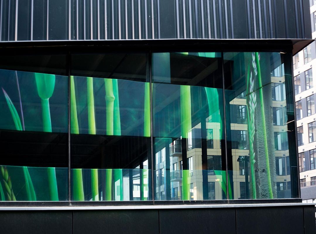 Adele Renault @ Columbus, Ohio, USA