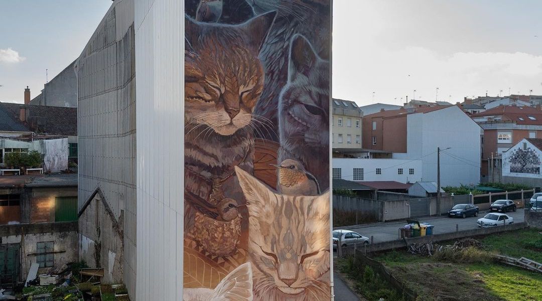 Alegria del Prado @ Carballo, Spain