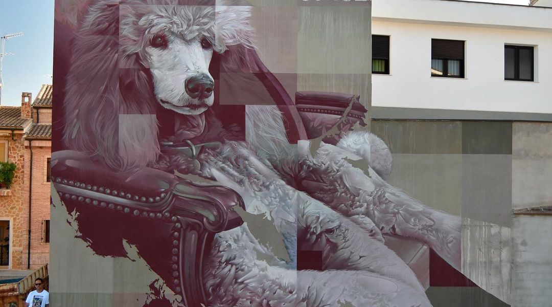 Conse @ Cheste, Spain