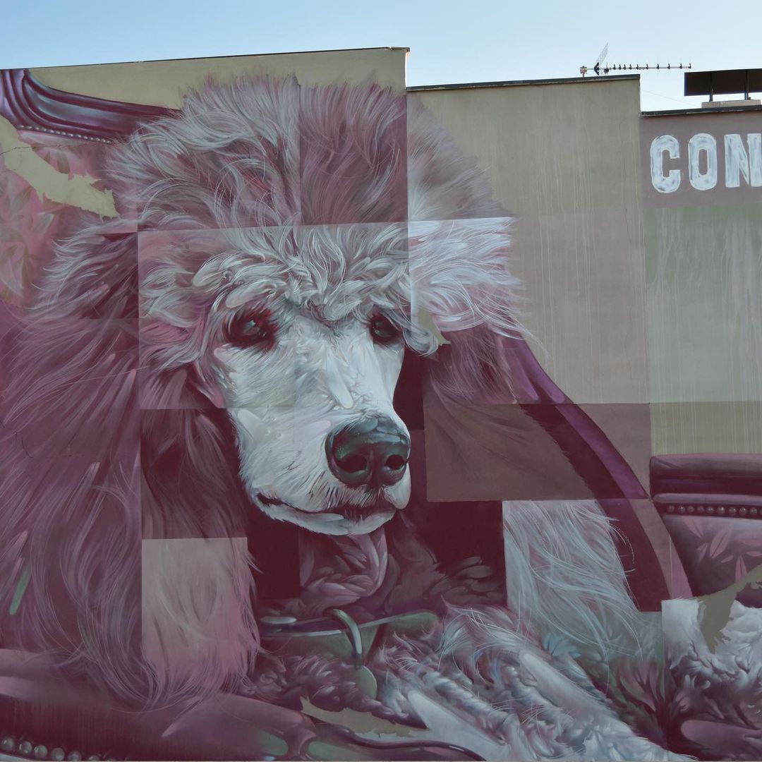 Conse @ Cheste, Spain