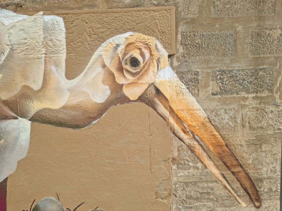 Curtis Hylton + Tim Marsh @ Barcelona, Spain