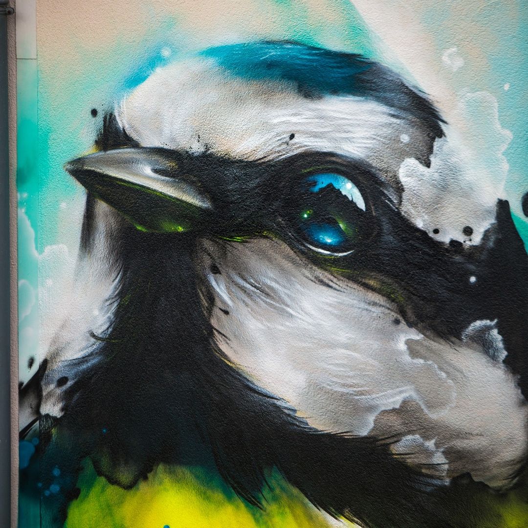 Daniel Mac Lloyd @ Grenoble, France