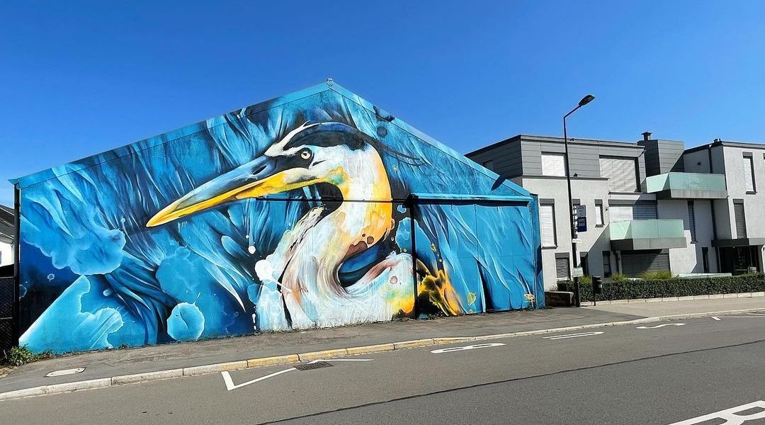 Daniel Mac Lloyd @ Kirchberg, Luxembourg