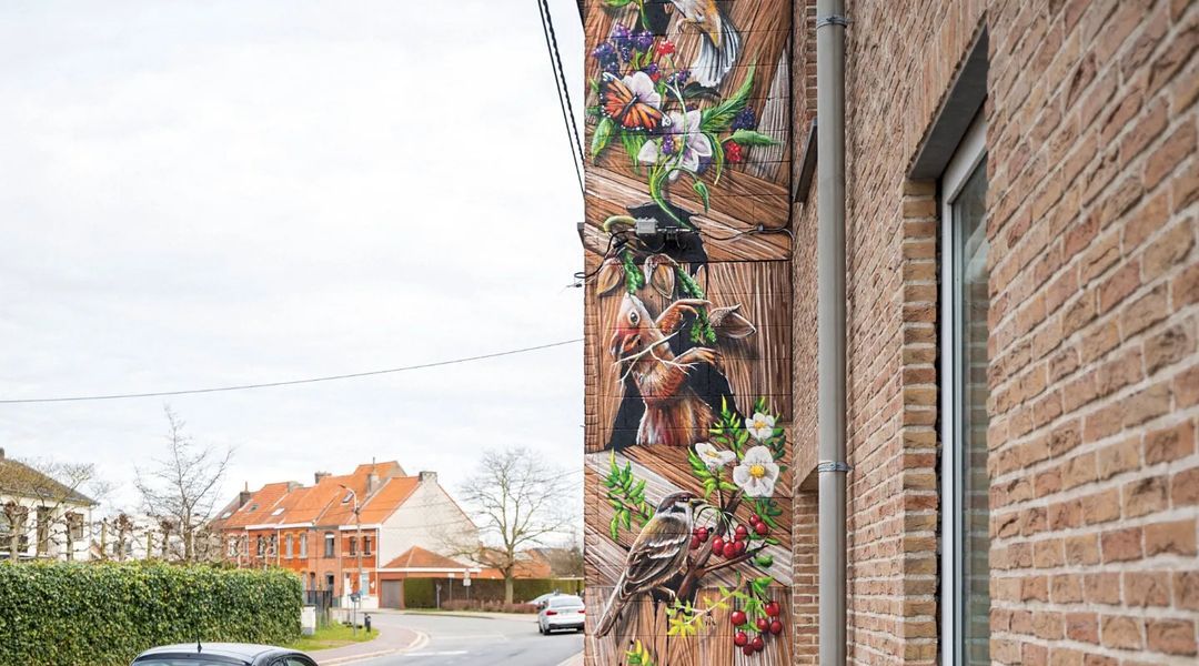 David Duits @ Ghent, Belgium