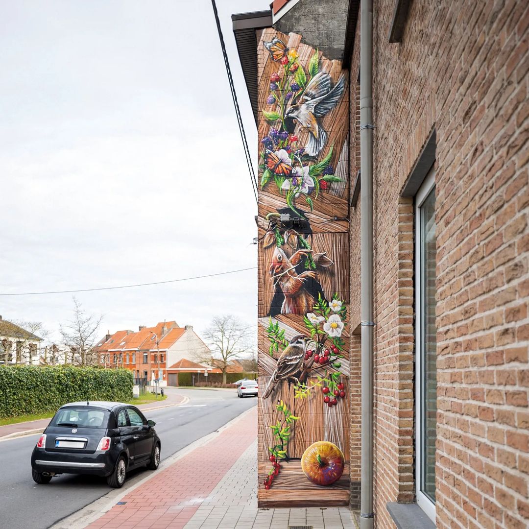 David Duits @ Ghent, Belgium