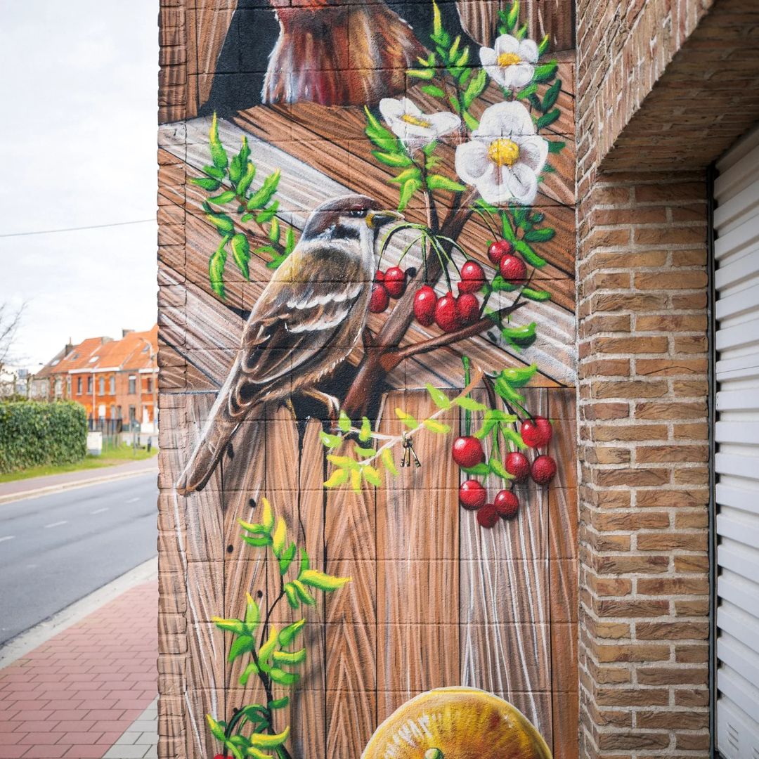 David Duits @ Ghent, Belgium