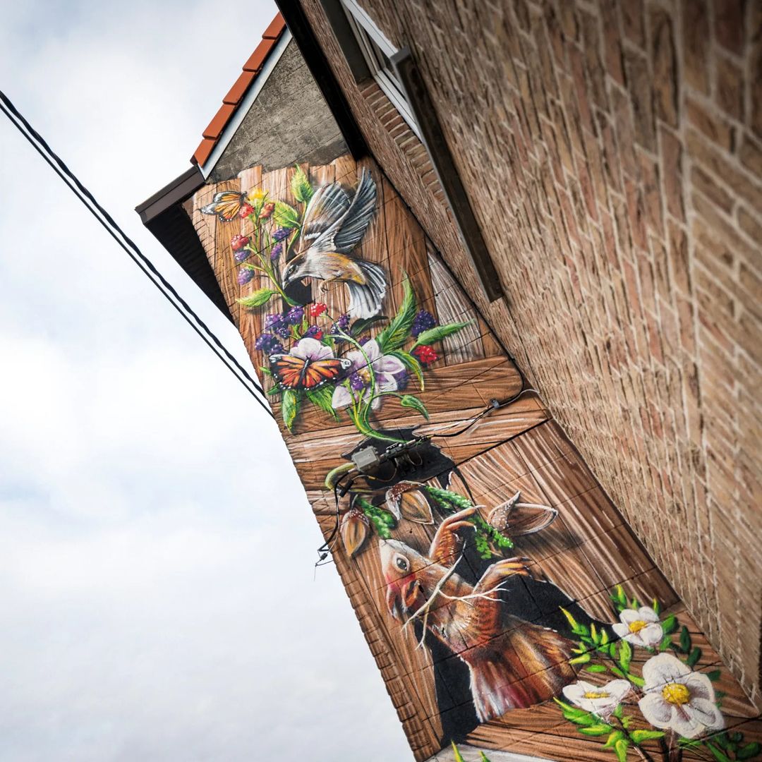 David Duits @ Ghent, Belgium