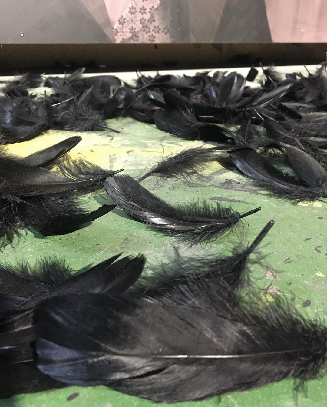 Eric Lacan @ Canohès, France