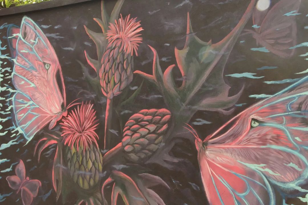 Julián Cruz Solano @ Catamarca, Argentina