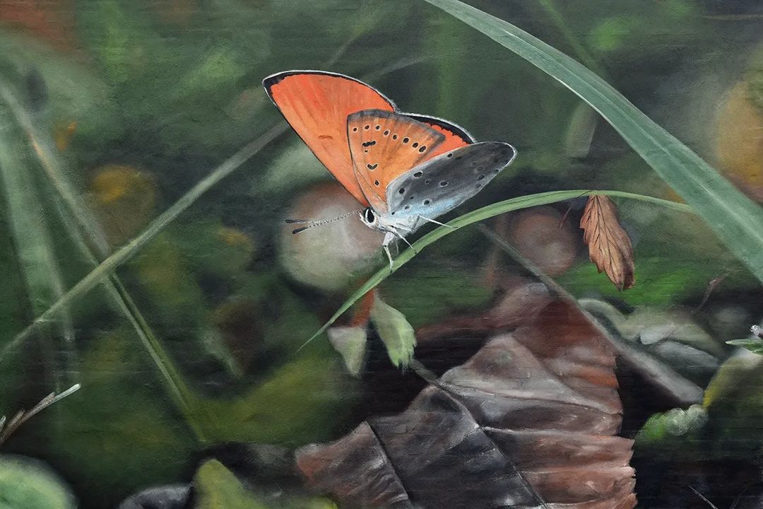 Mantra @ Braedstrup, Denmark