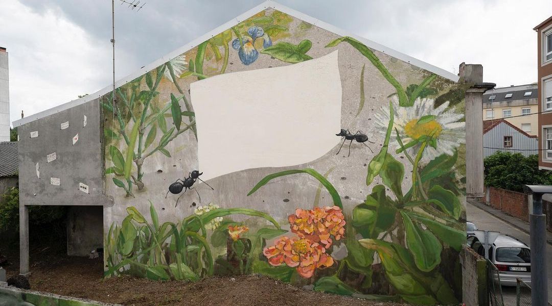 MAZ @ Carballo, Spain