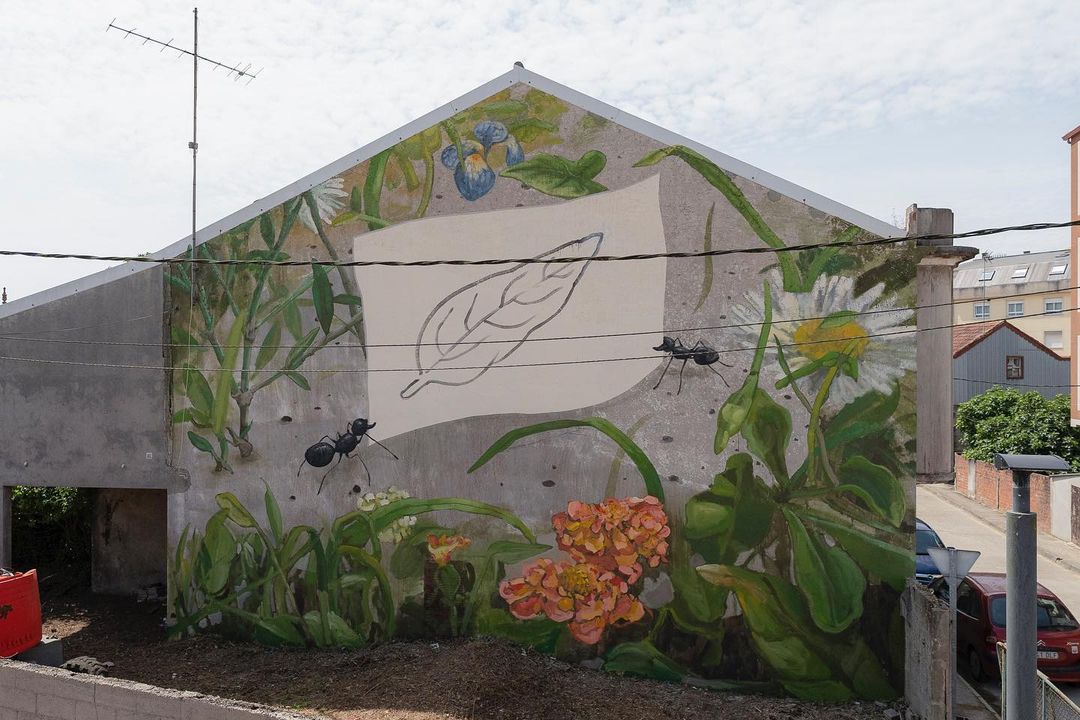 MAZ @ Carballo, Spain