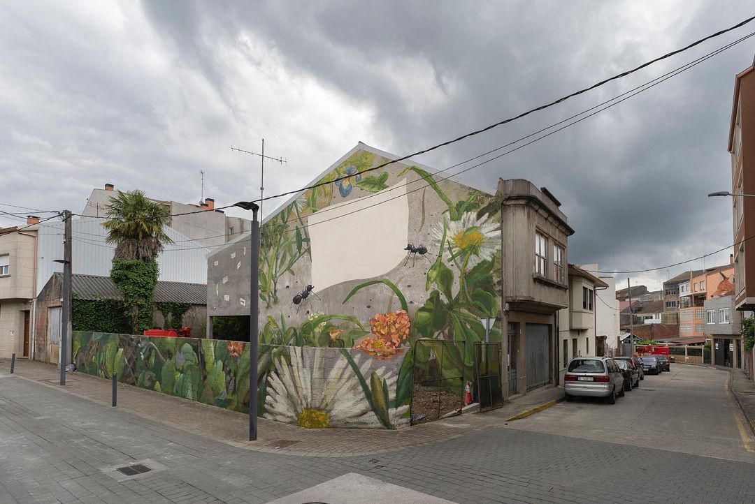 MAZ @ Carballo, Spain