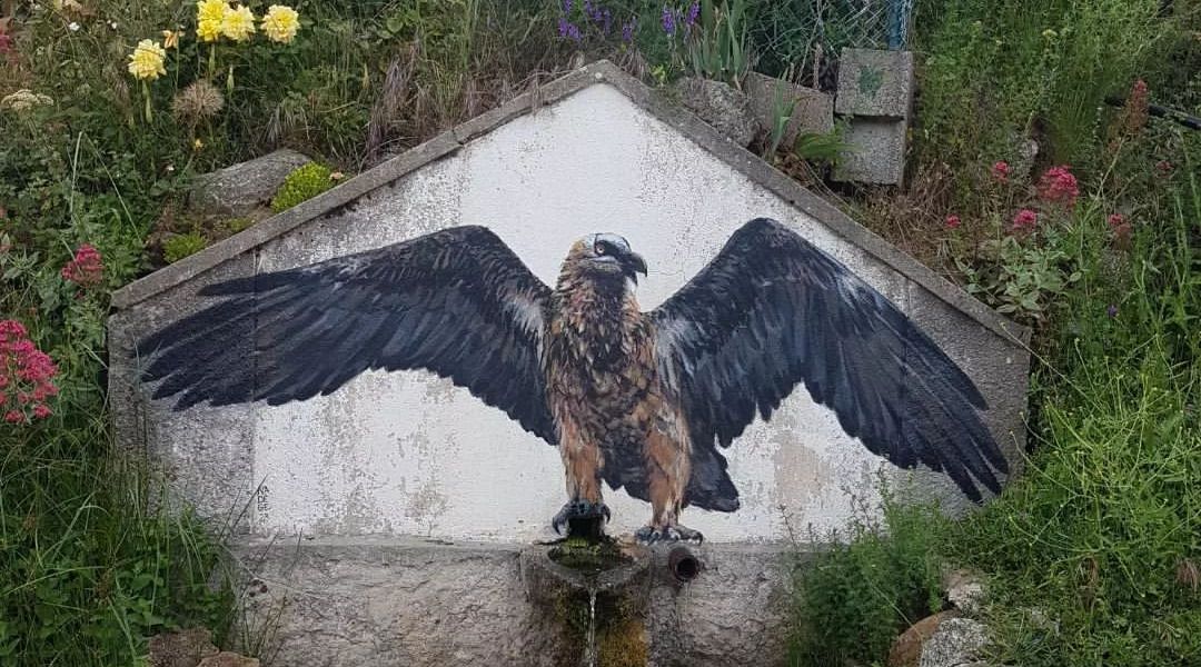 Nadège Dauvergne + Ememem @ Lozzi, Corsica, France