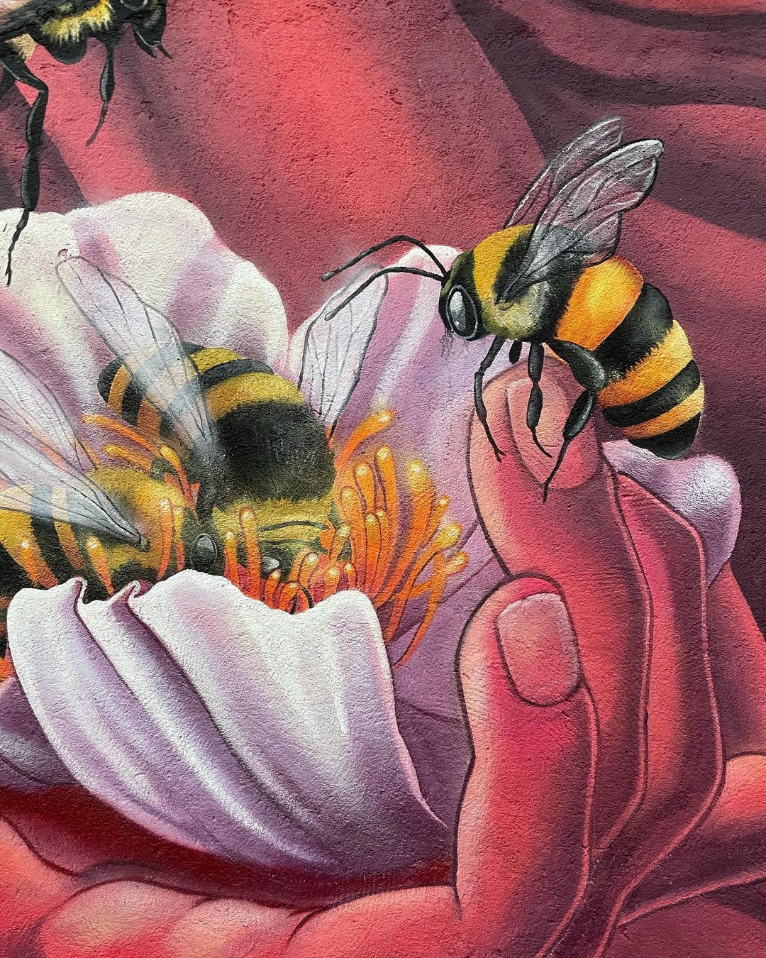 PeKolejo @ Ladrillar, Spain