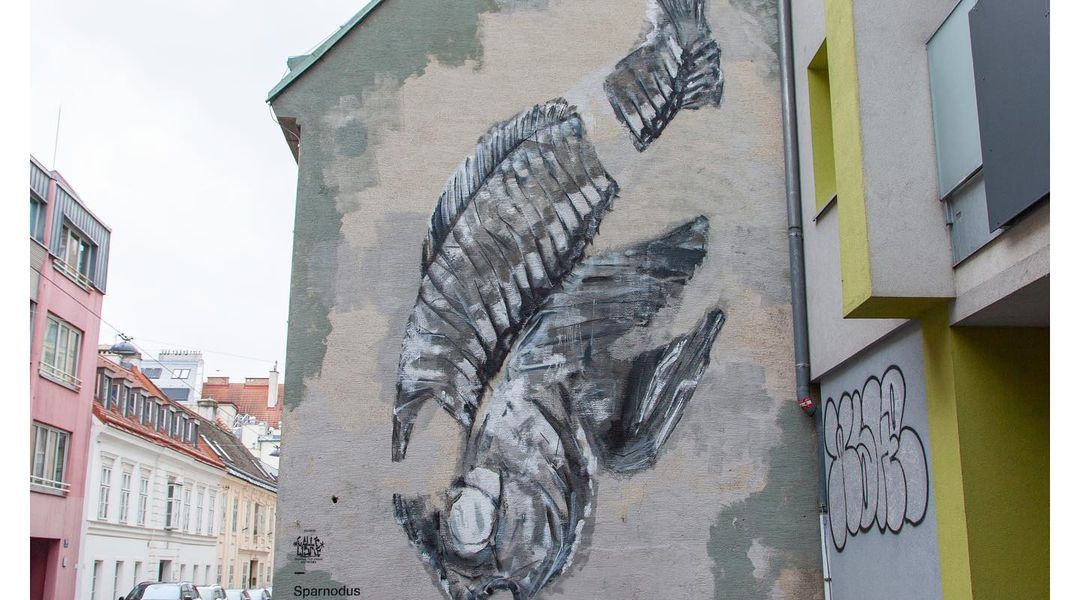 Raffael Strasser @ Vienna, Austria