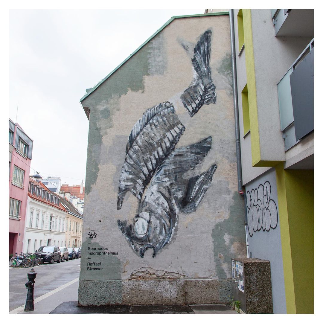 Raffael Strasser @ Vienna, Austria