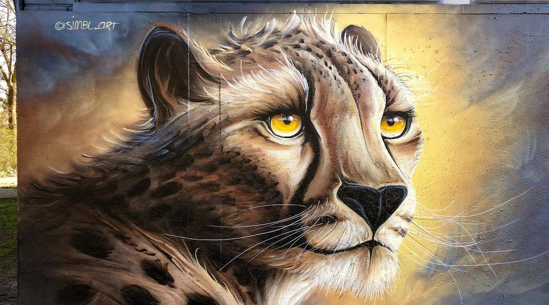 SIMBL @ Amsterdam, Netherlands