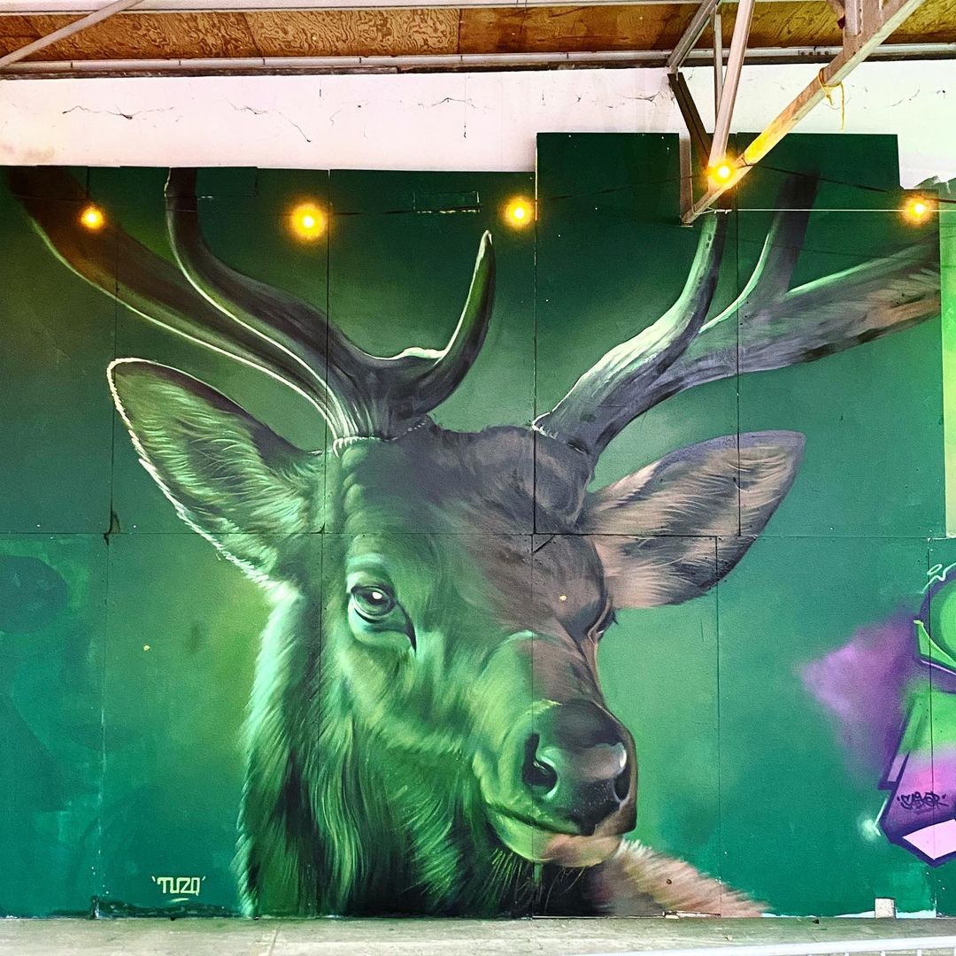 TUZQ @ Citadel Diest, Belgium TUZQ @ Citadel Diest, Belgium