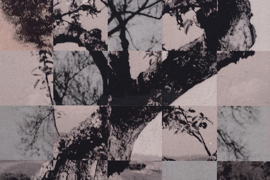 Susana Blasco @ Carballo, Spain