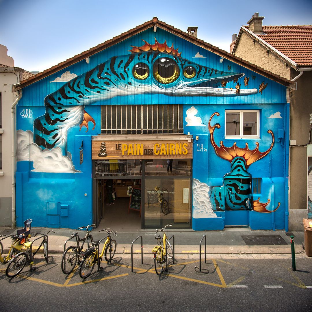 Veks Van Hillik @ Grenoble, France