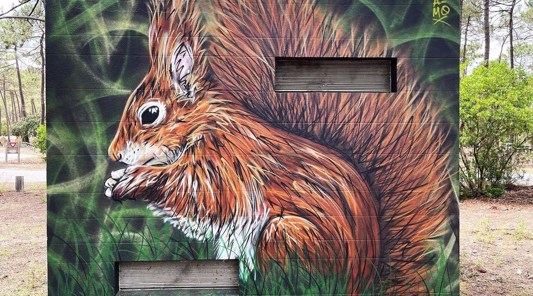 A-MO @ Carcans, France