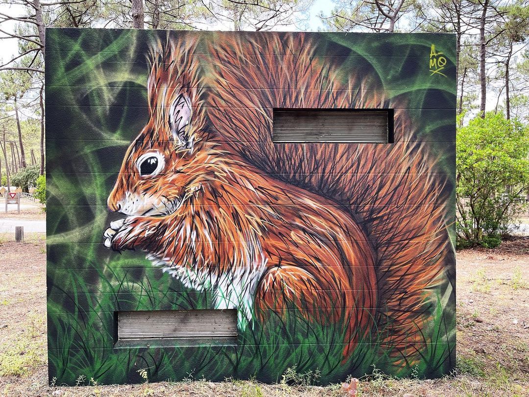 A-MO @ Carcans, France