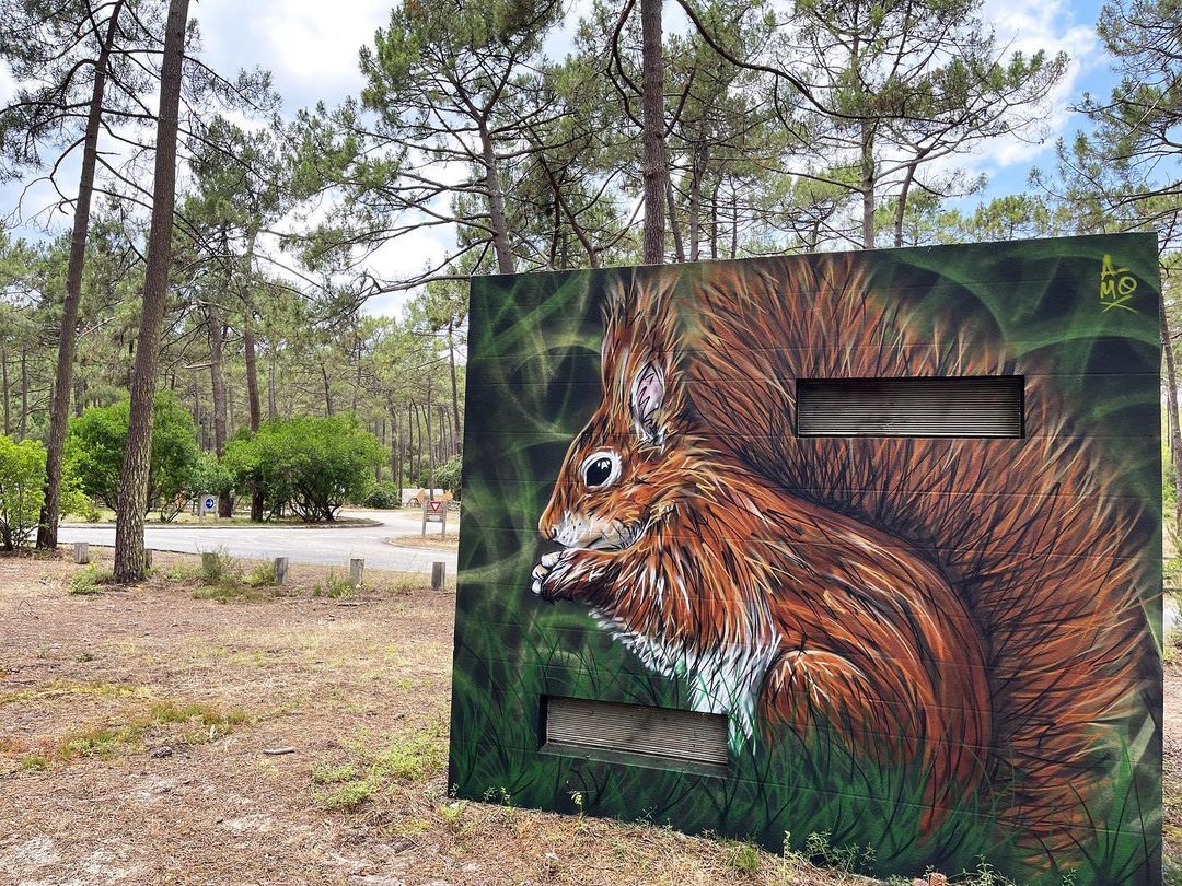 A-MO @ Carcans, France