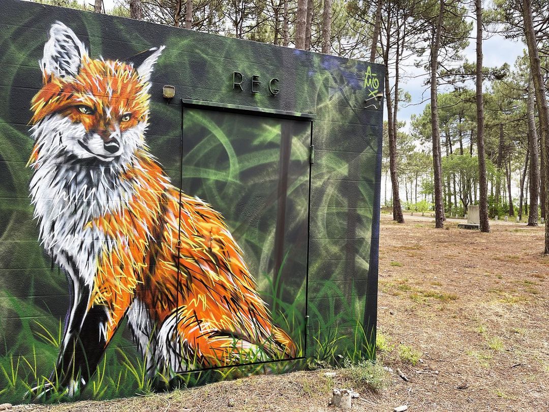 A-MO + David Selor @ Gironde, France