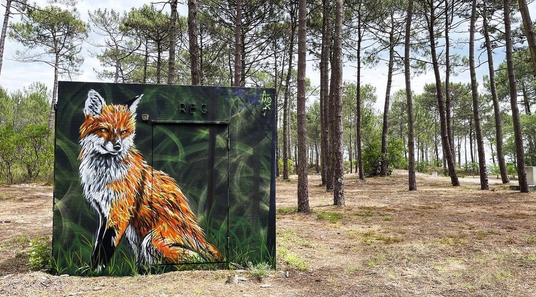 A-MO + David Selor @ Gironde, France