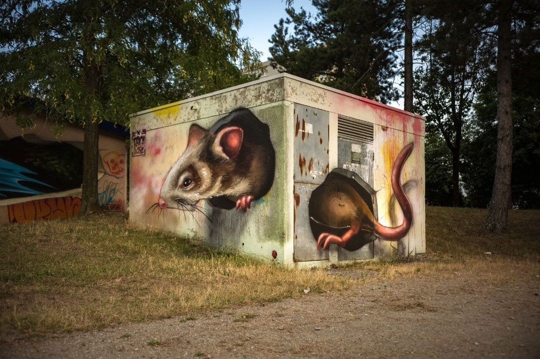 Braga last1 @ Grenoble, France