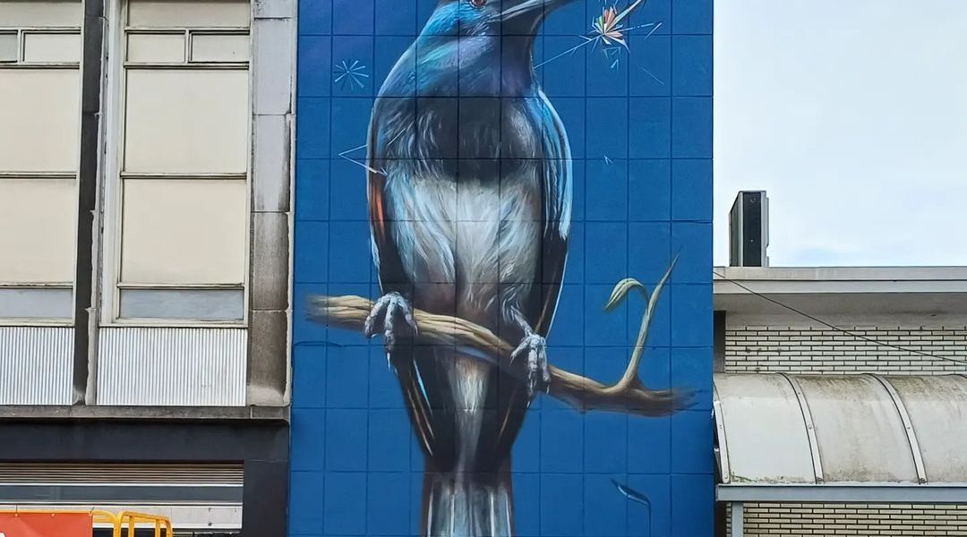 Collin van der Sluijs @ Hasselt, Belgium