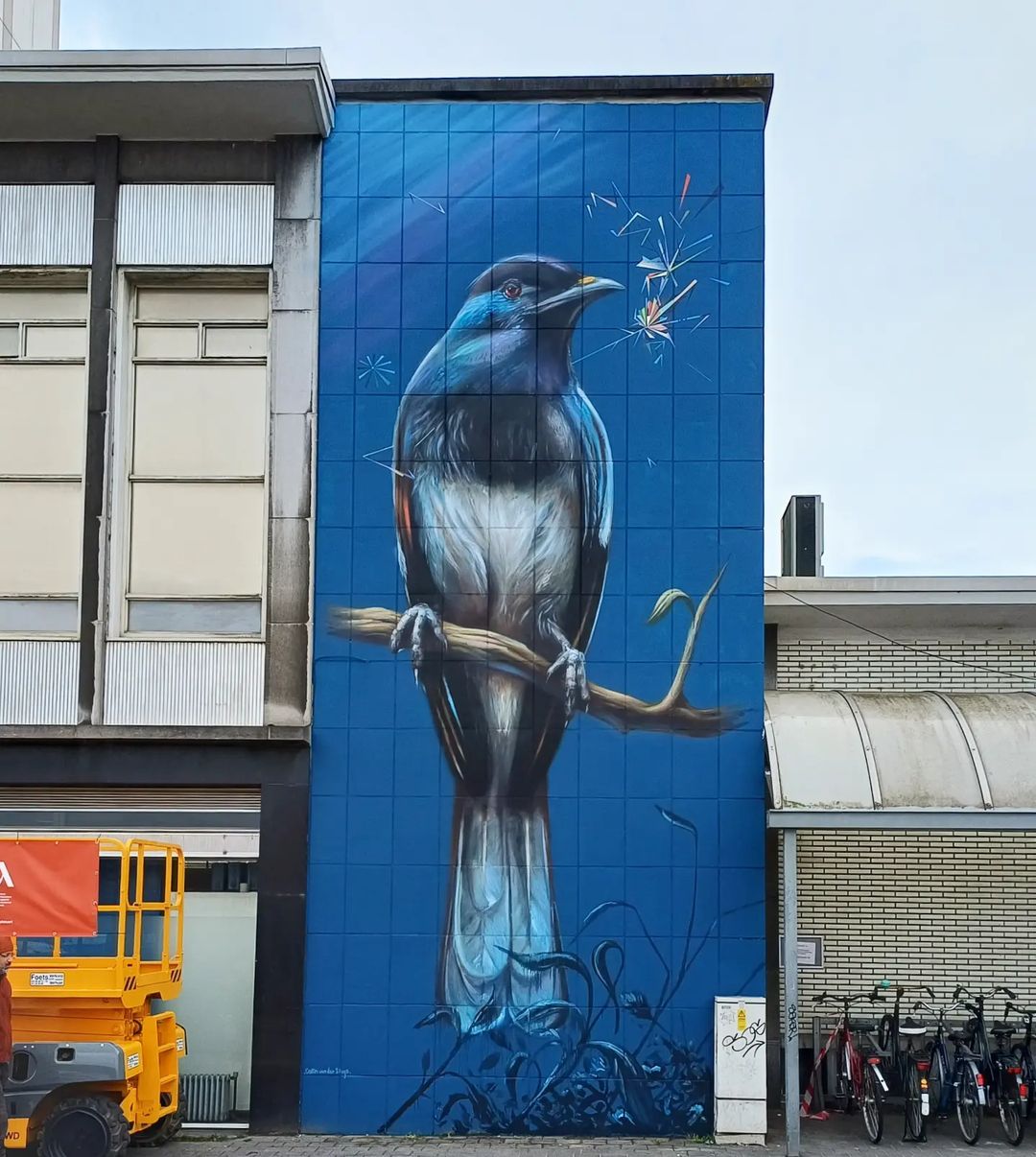 Collin van der Sluijs @ Hasselt, Belgium