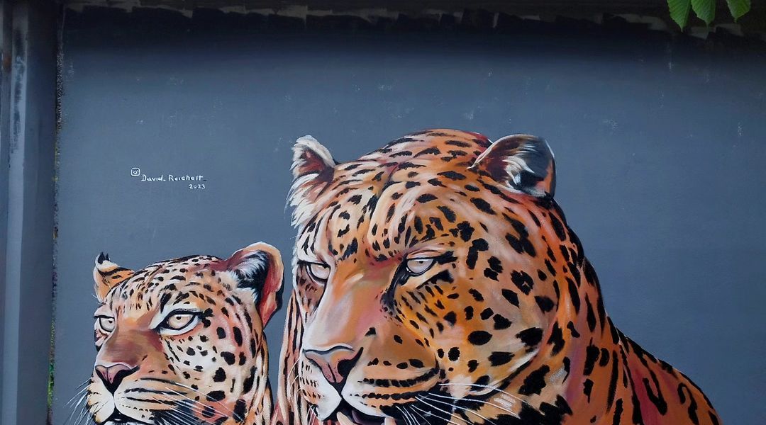 David Reichelt @ Prague, Czech Republic