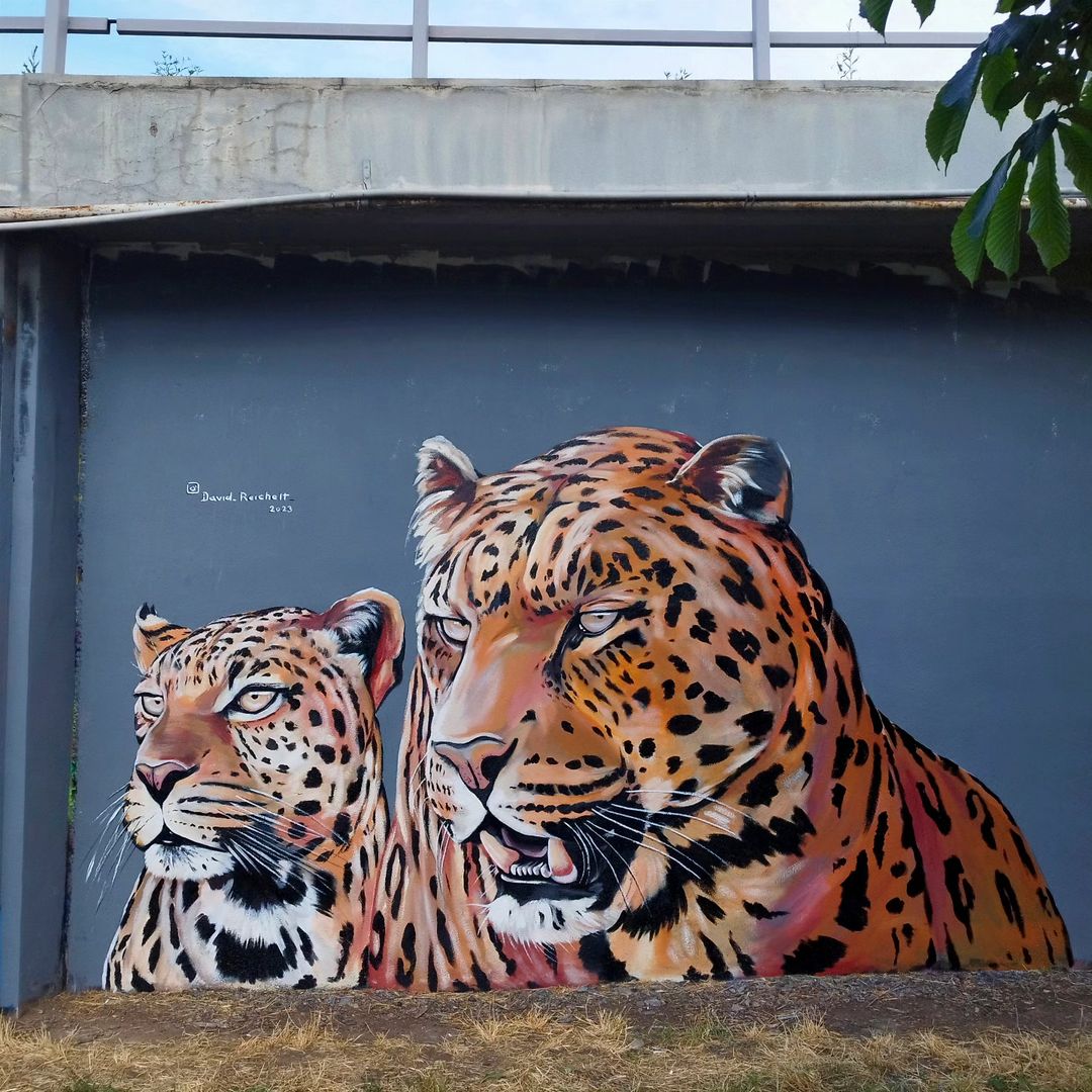 David Reichelt @ Prague, Czech Republic