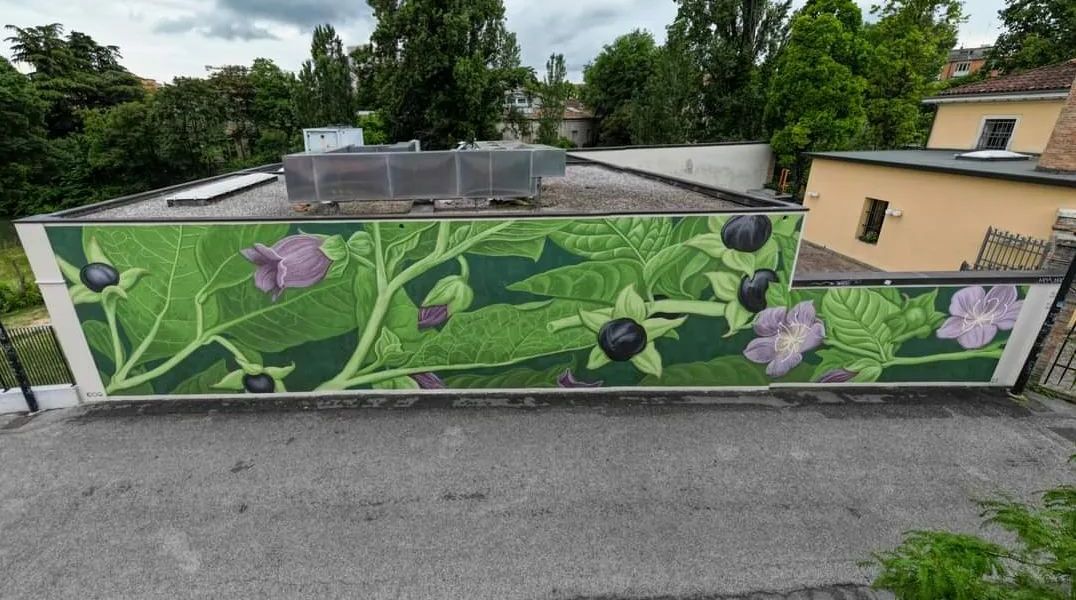 Doa oa @ Padua, Italy