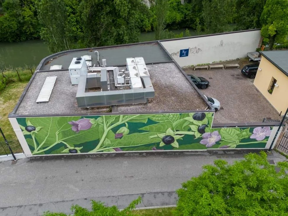 Doa oa @ Padua, Italy