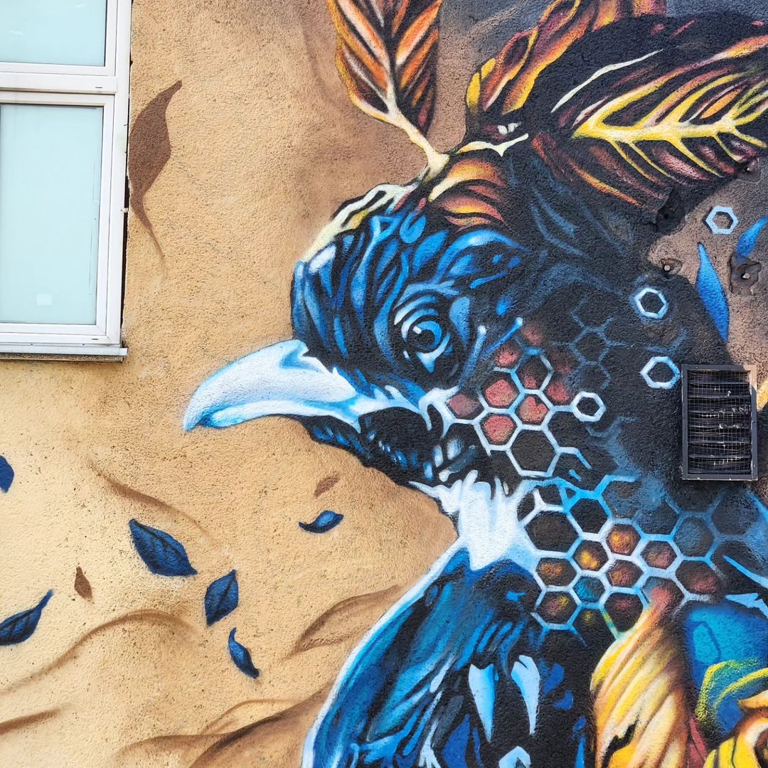 Dom Laporte @ Sibiu, Romania