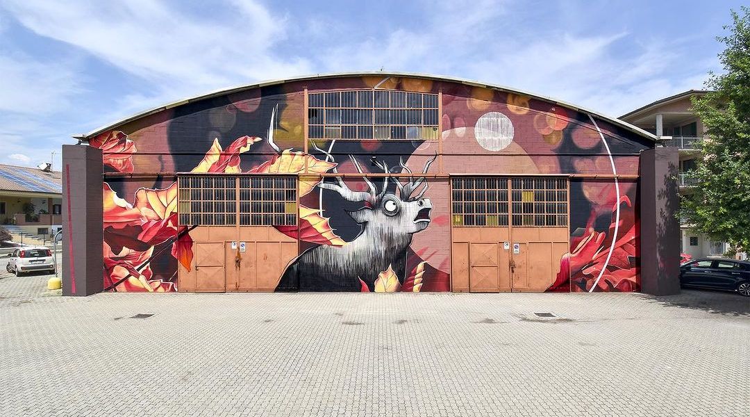 Fabio Petani + MrFijodor @ Vigone, Italy