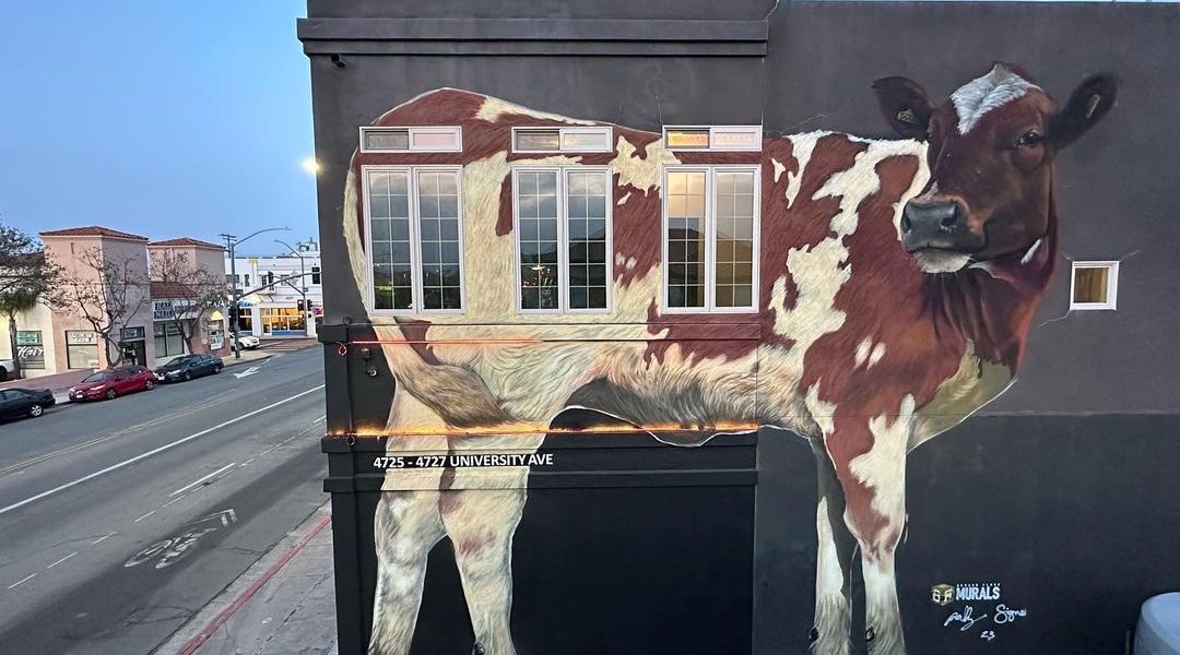 Ground Floor Murals @ San Diego, California, USA