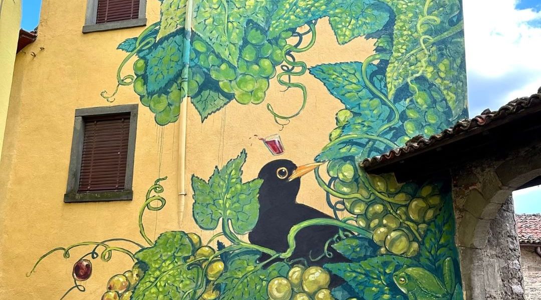 Hitnes @ Castiglione di Garfagnana, Italy