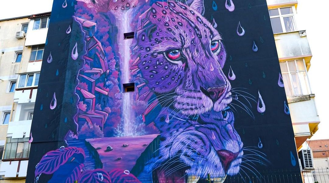 Julián Cruz Solano @ Sibiu, Romania